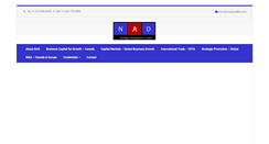 Desktop Screenshot of nadltd.com